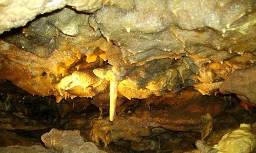 Zdjęcie USA / Dakota Południowa / okolice Rapid City / Cristal Cave