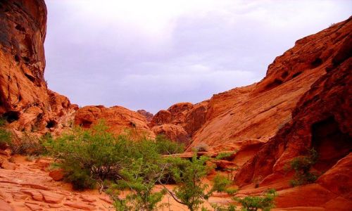 Zdjęcie USA / Nevada / Valley of the Fire /