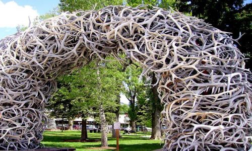 Zdjecie USA / Wyoming / Jackson - park miejski / niezwykłe wejście do parku