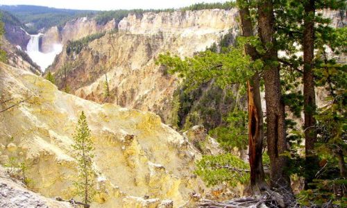 Zdjecie USA / Wyoming / Yellowstone / piekny kanion rzeki Yellowstone