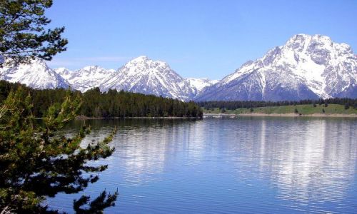 Zdjecie USA / Wyoming / Grand Teton NP / Lake Jackson i Mt.Moran