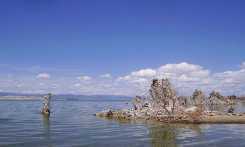 Zdjecie USA / Kalifornia / jezioro Mono / niezwykłe skałki osadowe  na Mono Lake