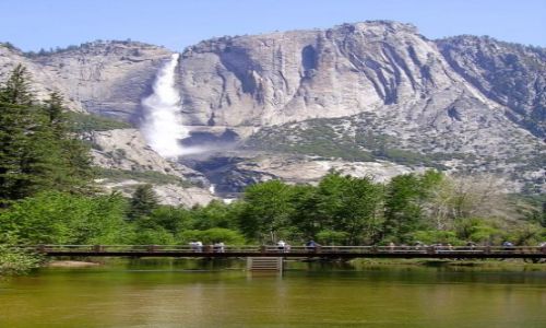 Zdjecie USA / Kalifornia / Yosemite Nat.Park / W parku Yosemite