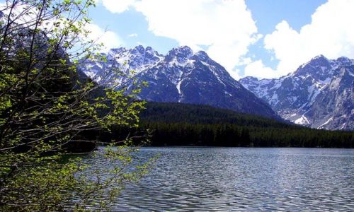 Zdjecie USA / Wyoming / Grand Teton Nat. Park / w Grand Teton Nat. Park