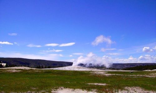 Zdjęcie USA / Wyoming / Yellowstone Nat. Park / nieśmiałe próby