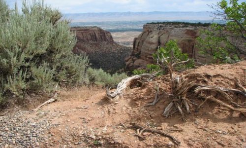 Zdjęcie USA / Kolorado / niedaleko Grand Junction / Colorado National Monument