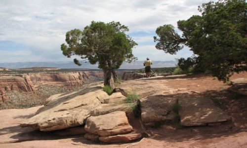 Zdjecie USA / Kolorado / niedaleko Grand Junction / Colorado National Monument