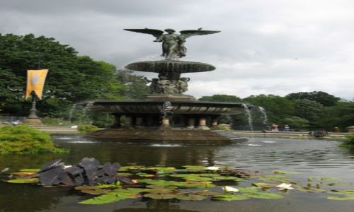 Zdjęcie USA / Nowy Jork / Central Park / Anioł i nenufary