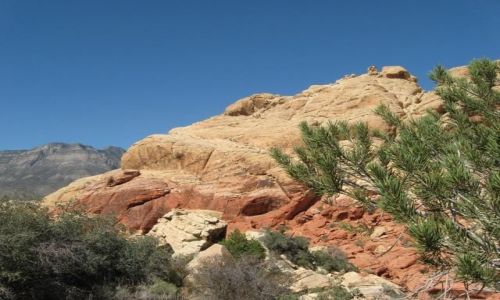 Zdjęcie USA / Nevada / Park Narodowy Red Rock Canyon / na szlaku : szary wapień, czerwony piaskowiec i odrobina zieleni