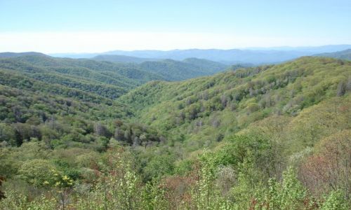 Zdjęcie USA / Północna Karolina / Tennesee / Park Narodowy Great Smokey Mountains / Jak nasze Bieszczady...