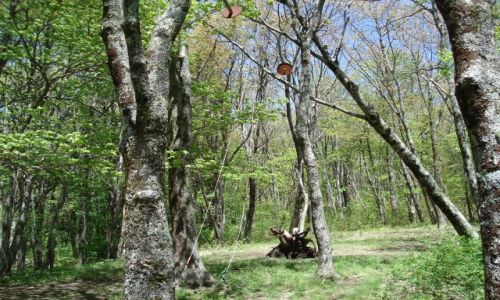 Zdjecie USA / Północna Karolina / Tenesee / Park Narodowy Great Smokey Mountains / Zabezpieczanie żywności przed niedźwiedziami