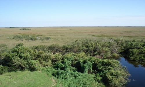 Zdjęcie USA / Floryda / Park Narodowy Everglades / Panorama Everglades
