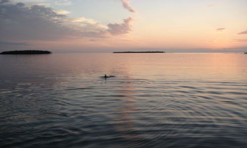 Zdjecie USA / Floryda / Park Narodowy Everglades / Zatoka Meksykańska