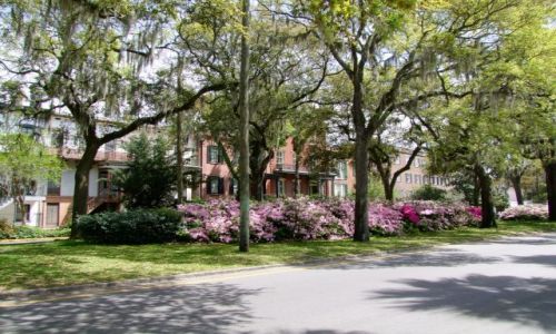 Zdjęcie USA / - / Georgia / Savannah / ulice Savannah