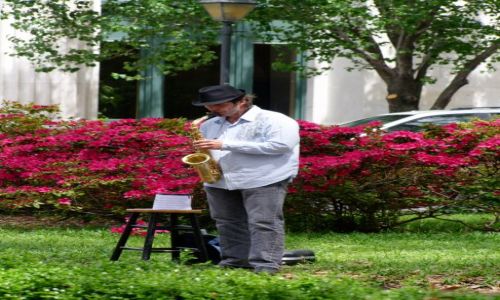 Zdjęcie USA / - / Georgia / Savannah / parkowy grajek