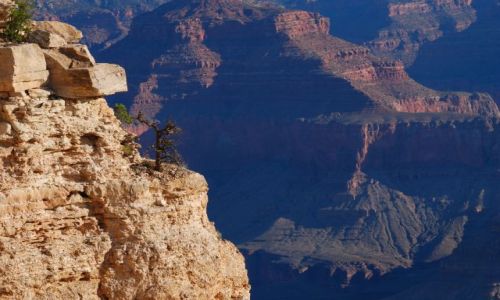 Zdjcie USA / Arizona / South Rim / Grand Canyon