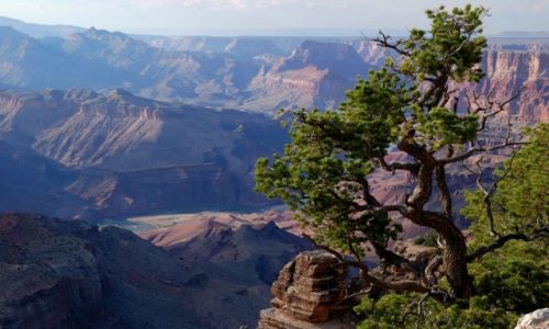 Zdjcie USA / Arizona / South Rim / Grand Canyon