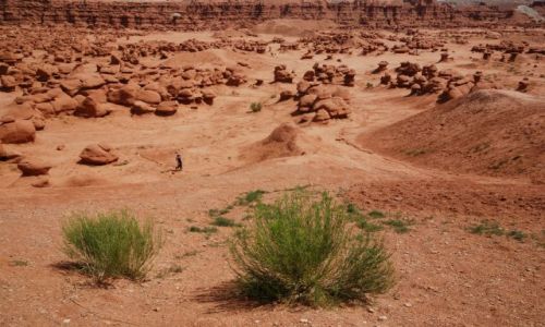 Zdjęcie USA / Utah / Goblin Valley State Park / Goblin Valley