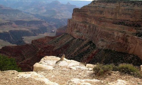 Zdjecie USA / - / Grand Canyon / Grand Canyon