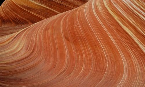 Zdjecie USA / Utah / The Wave / THE WAVE