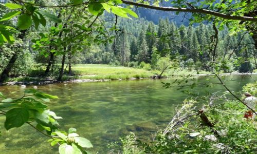 Zdjęcie USA / California / Yosemite NP / Yosemite - rzeczka