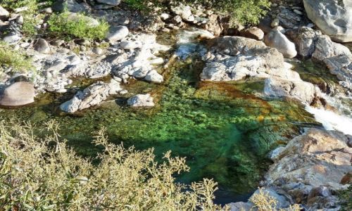 Zdjęcie USA / California / Sequoia  NP / Sequoia NP - rzeczka