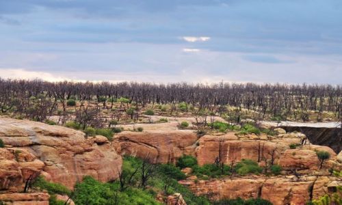 Zdjęcie USA / Colorado / Mesa Verde NP / Pokłady skalne w Mesa Verde NP