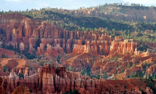 Zdjcie USA / Utah / Bryce NP / RGB -skay, las, niebo