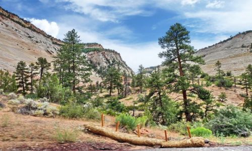 Zdjęcie USA / Utah / zion np / Zion - droga do