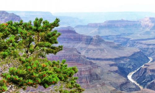 Zdjęcie USA / Arizona / Grand Canyon NP / 1600m w dół