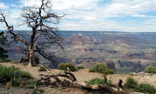 Zdjęcie USA / Arizona / Grand Canyon NP / South Rim GC