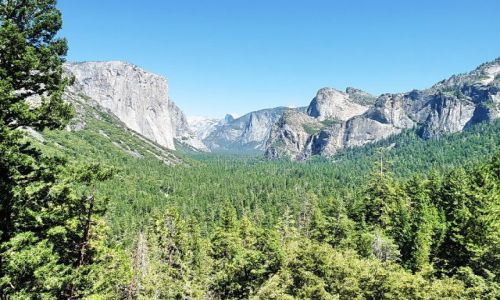 Zdjęcie USA / California / Yosemite NP / Najładniejsza dolina Yosemite NP