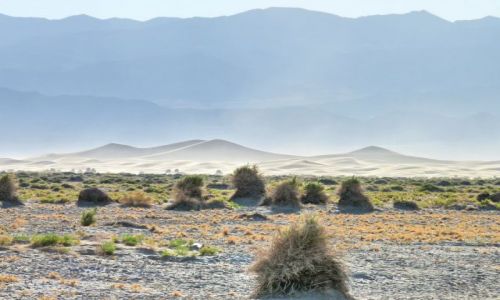 Zdjcie USA / California / Death Valley NP / Piaskownica na pustyni