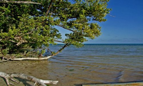 Zdj�cie USA / - / Floryda / Florida Keys / Long Key / Long Key