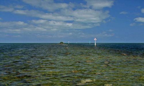 Zdjęcie USA / - / Floryda / Florida Keys  / rafa