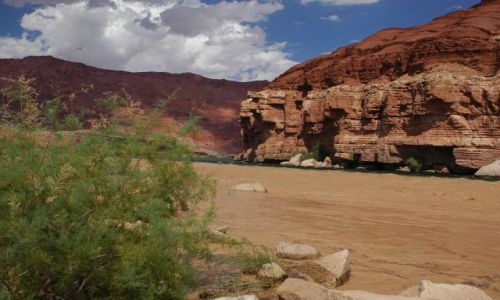 Zdjecie USA / brak / Colorado River / Arizona