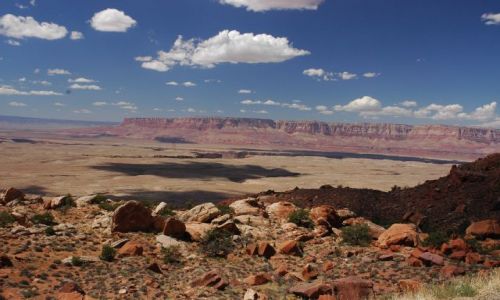 Zdjecie USA / Arizona / Arizona / W drodze na Lake Powell