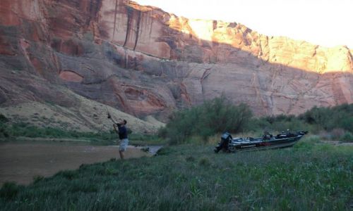 Zdjecie USA / Arizona / Arizona / Biwak nad Colorado