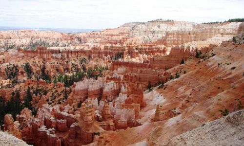 Zdjcie USA / Utah / Park Narodowy Bryce Canyon / Bryce Canyon