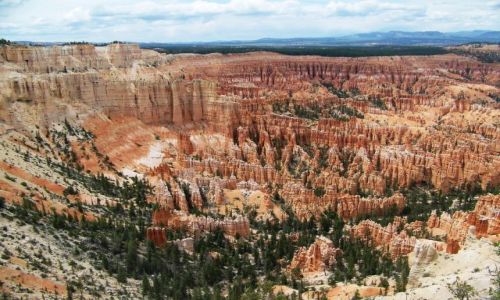 Zdjcie USA / Utah / Park Narodowy Bryce Canyon / Amfiteatr