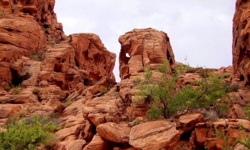 Zdjecie USA / Nevada / Dolina Ognia /  w Valley of the Fire