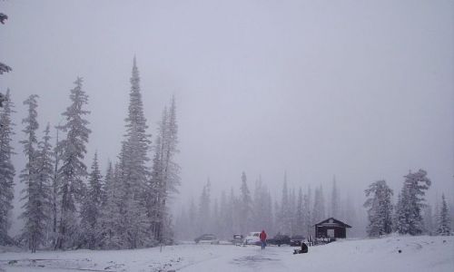 Zdjęcie USA / Arizona / w Parku Cedar Break / czerwiec 2008r w Cedar Break !!!