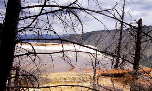 Zdjcie USA / Wyoming / Nat.Park Yellowstone / trawertynowe tarasy w Mamoth Hot Springs