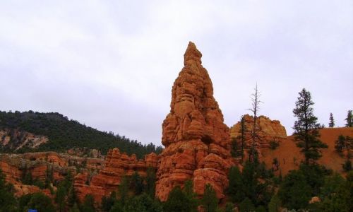 Zdjcie USA / Arizona / w drodze do Bryce Canyon / skalna wiea