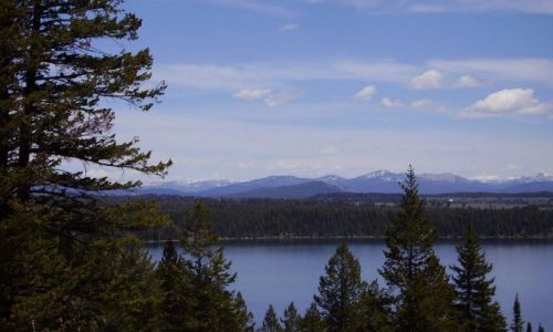 Zdjcie USA / Wyoming / Grand Teton Nat.Park / widok na Jenny Lake