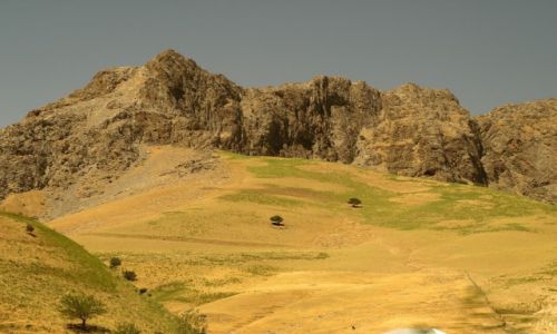 Zdjecie UZBEKISTAN / wilajet kaszkadaryjski / ok. Shakhrisabz / w drodze do Shakhrisabz