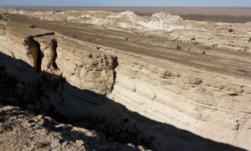Zdjcie UZBEKISTAN / Karakapacja / Jezioro Aralskie / Krawd paskowyu Ustiurt