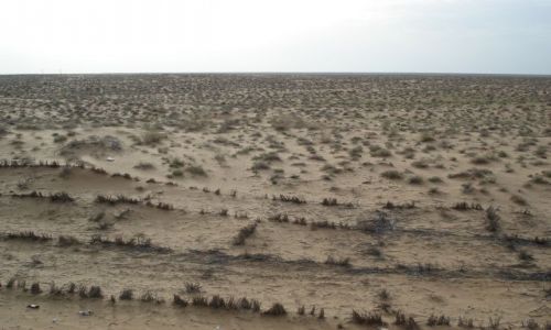 Zdjęcie UZBEKISTAN / Karakałpakstan / na trasie Buchara-Urgencz / Pustynia Kyzył Kum