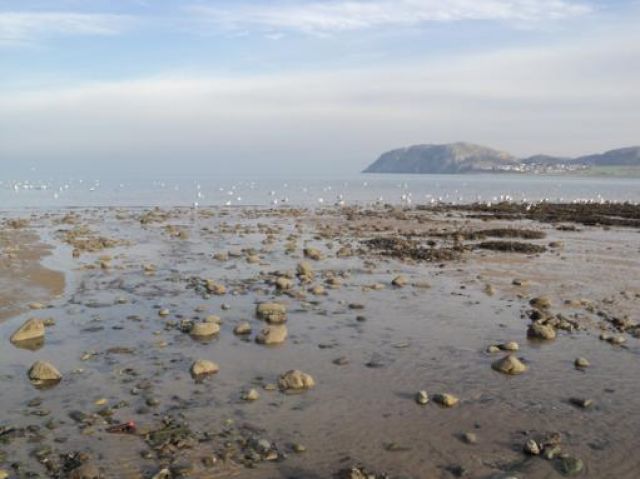 Zdjęcia: Llandudno, Polnocna Walia, Walia(1), WALIA Zdjęcia: Llandudno, Polnocna Walia, Walia(1), WALIA