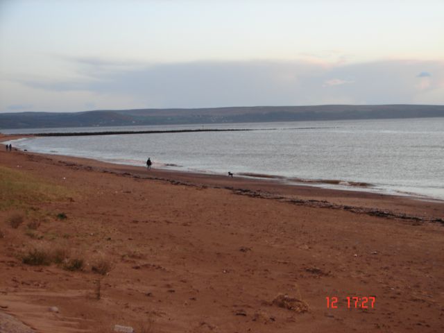 Zdjęcia: Llanelli, Poludniowa Walia, Plaza jesienia, WALIA Zdjęcia: Llanelli, Poludniowa Walia, Plaza jesienia, WALIA